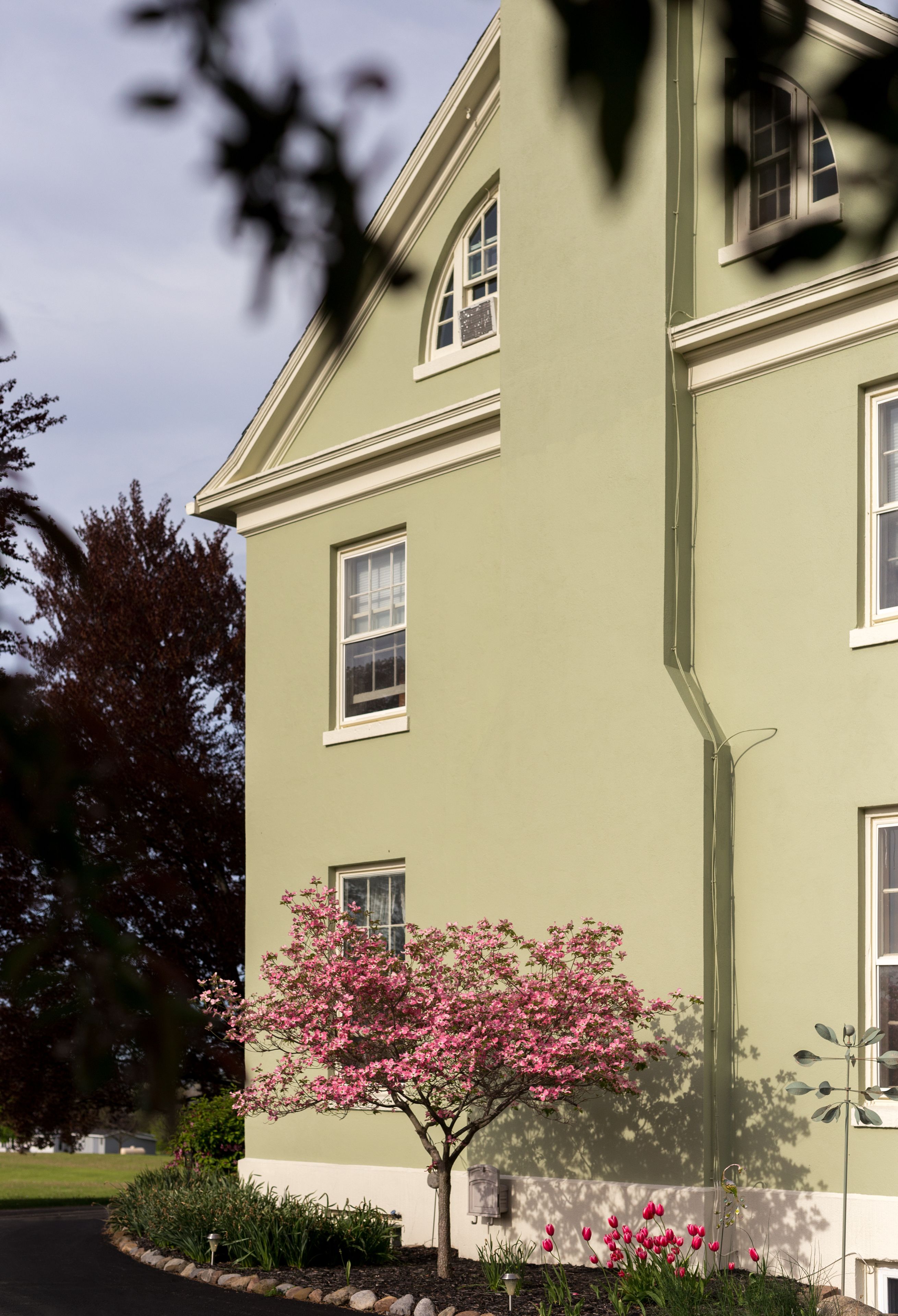 Un edificio de dos pisos con fachada verde, varias ventanas y un pequeño árbol con flores rosadas.