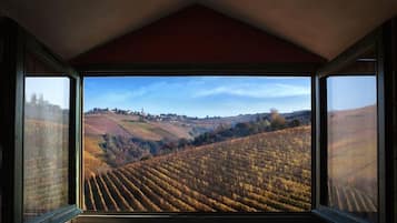 Deluxe Suite, 1 Bedroom, Kitchenette, Vineyard View | View from room