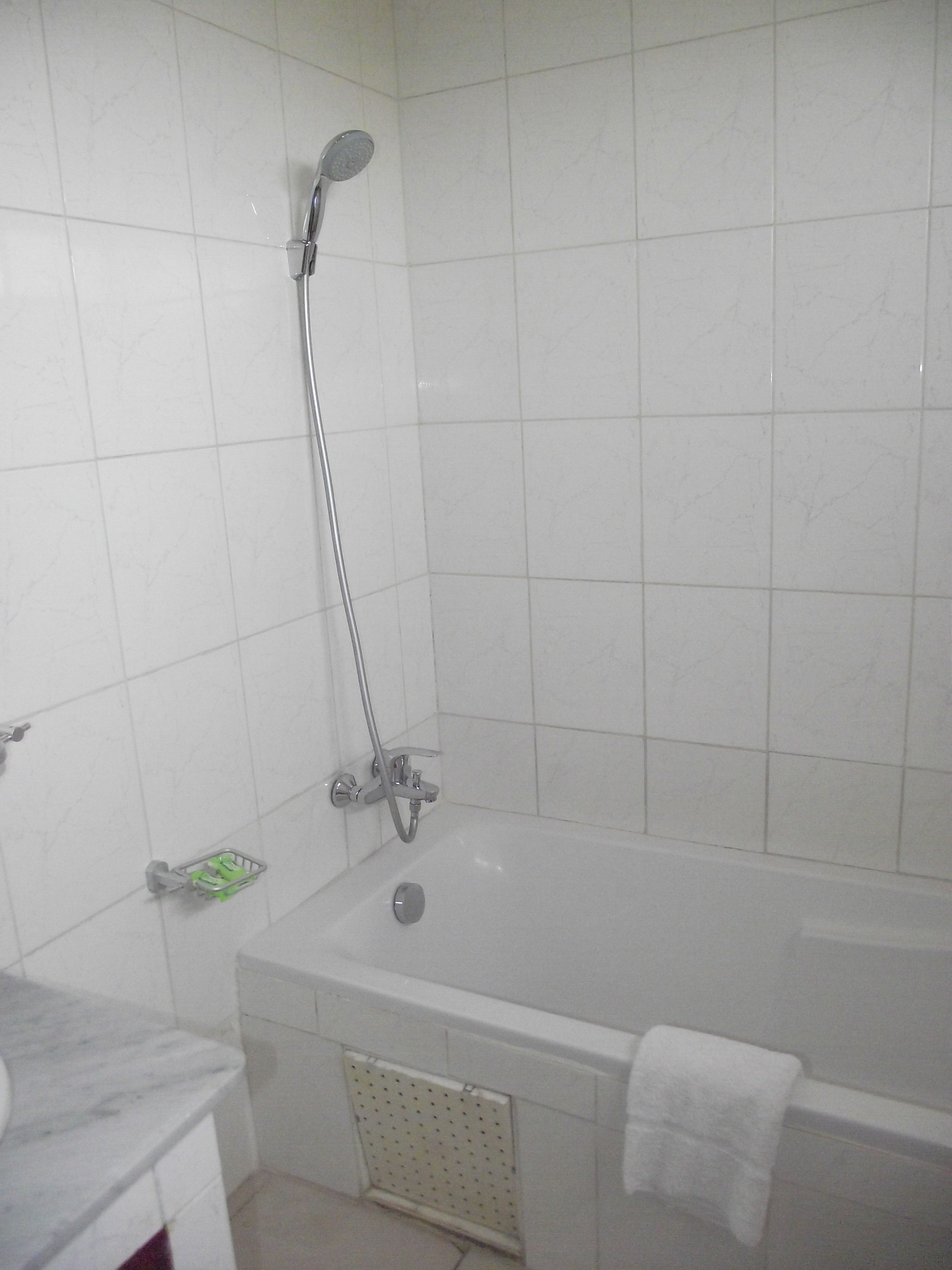 A bathroom with a bathtub, a showerhead, and a green soap dish.