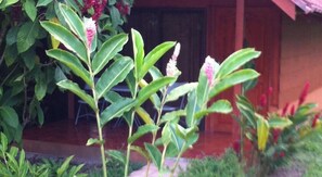 Property grounds - Hotel Villas Vista Arenal (La Fortuna)