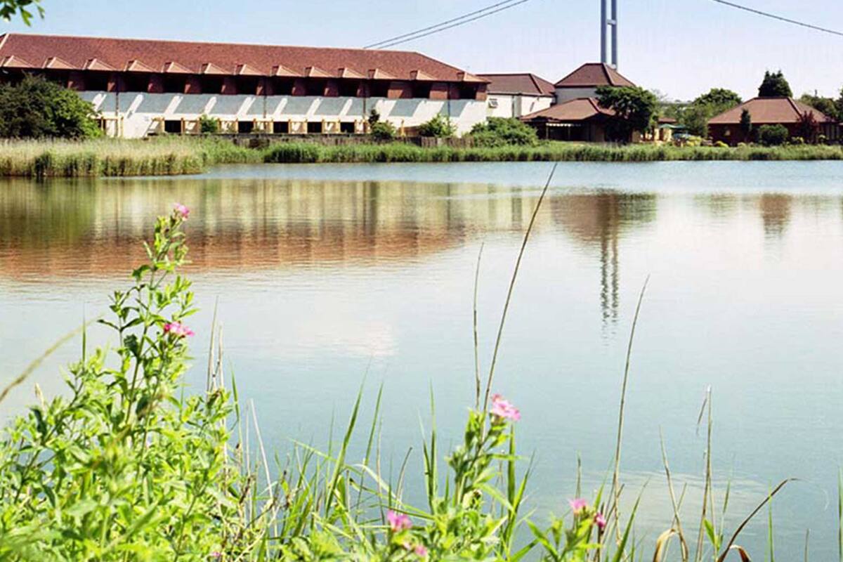 Lake view
