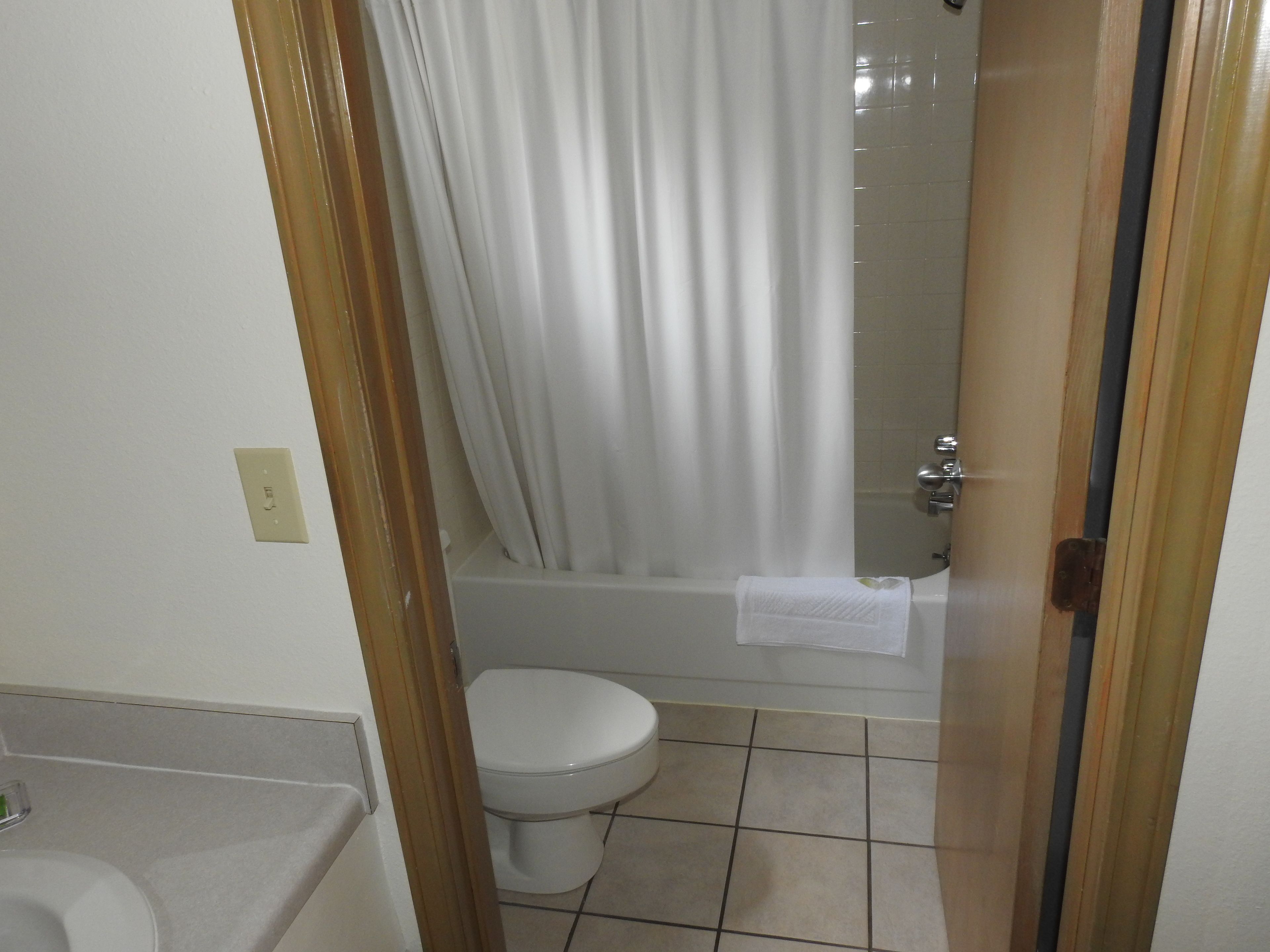 A bathroom with a toilet, a bathtub, and a shower curtain.