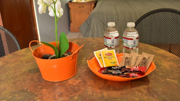A hotel room with a bed, a nightstand with a lamp, a table with a plant, two bottles of water, and a bowl with snacks. - Aspid Apartments (Oranjestad)