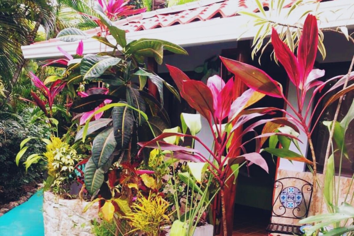 A stone planter with tropical plants, a turquoise pool, and a tiled roof.