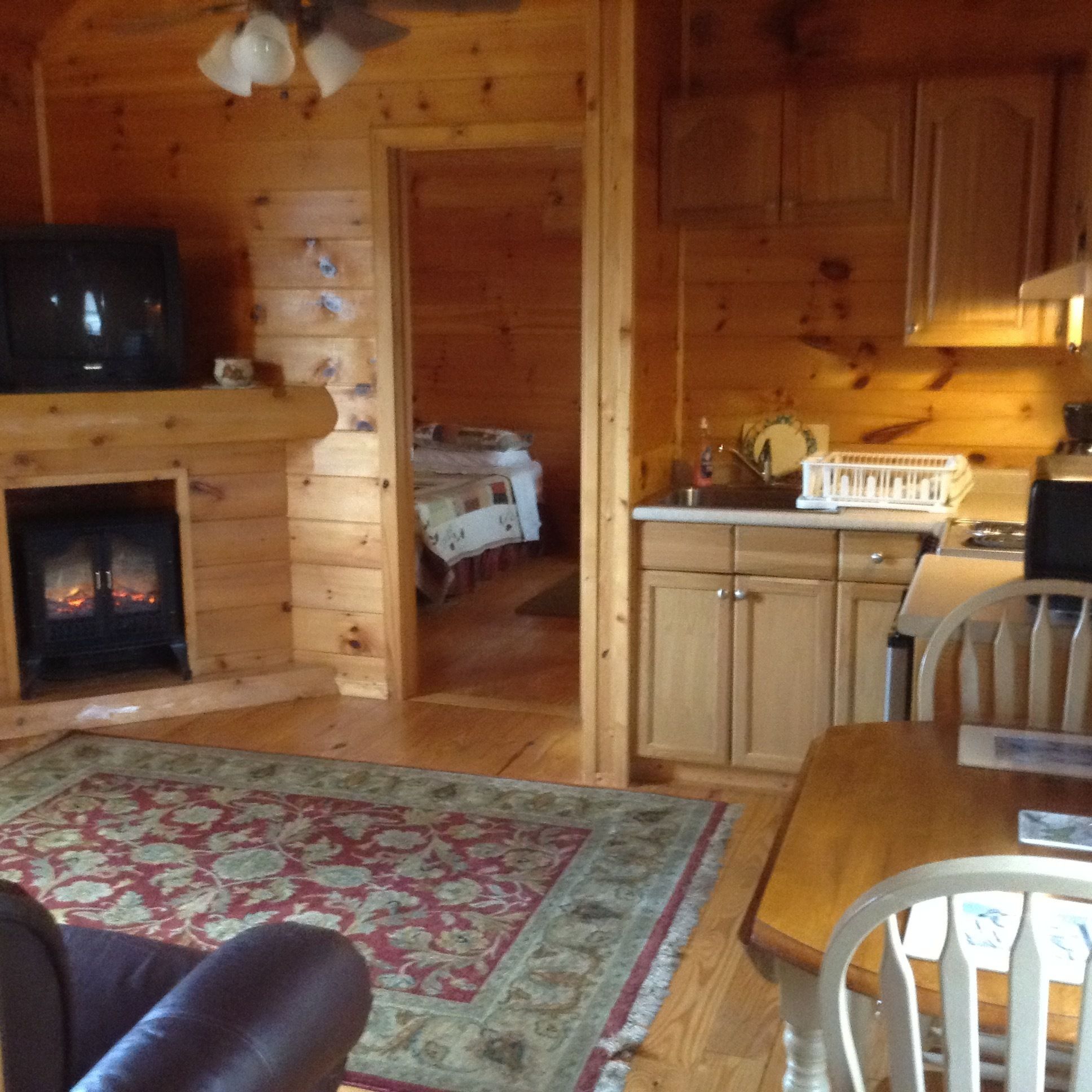 Romantic Cabin, 2 Bedrooms, Mountain View, Mountainside (Nuthatch Cabin) | Private kitchen | Fridge, microwave, oven, stovetop