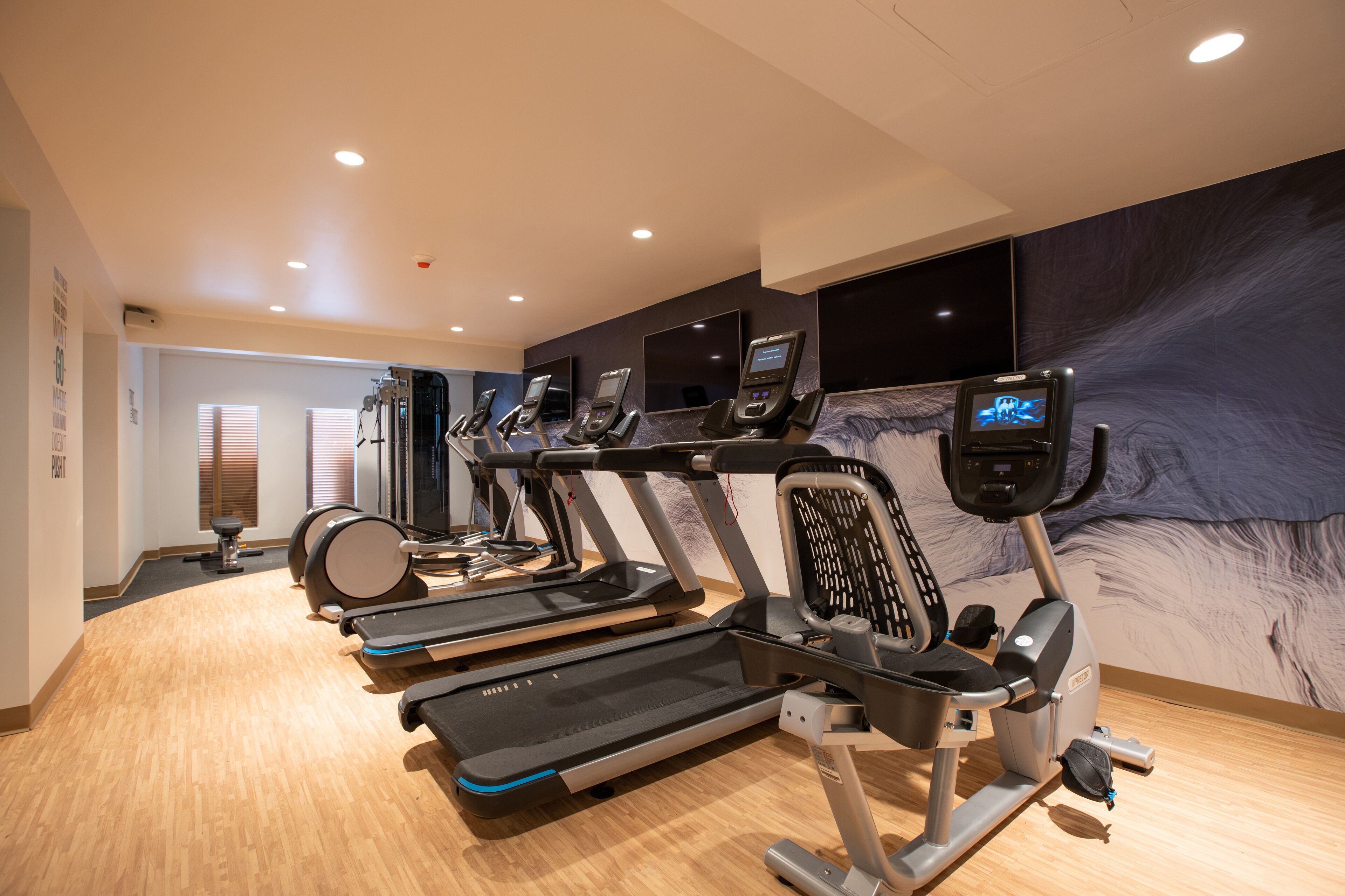 A gym with multiple treadmills and exercise bikes, wooden flooring, and a large wall mural.