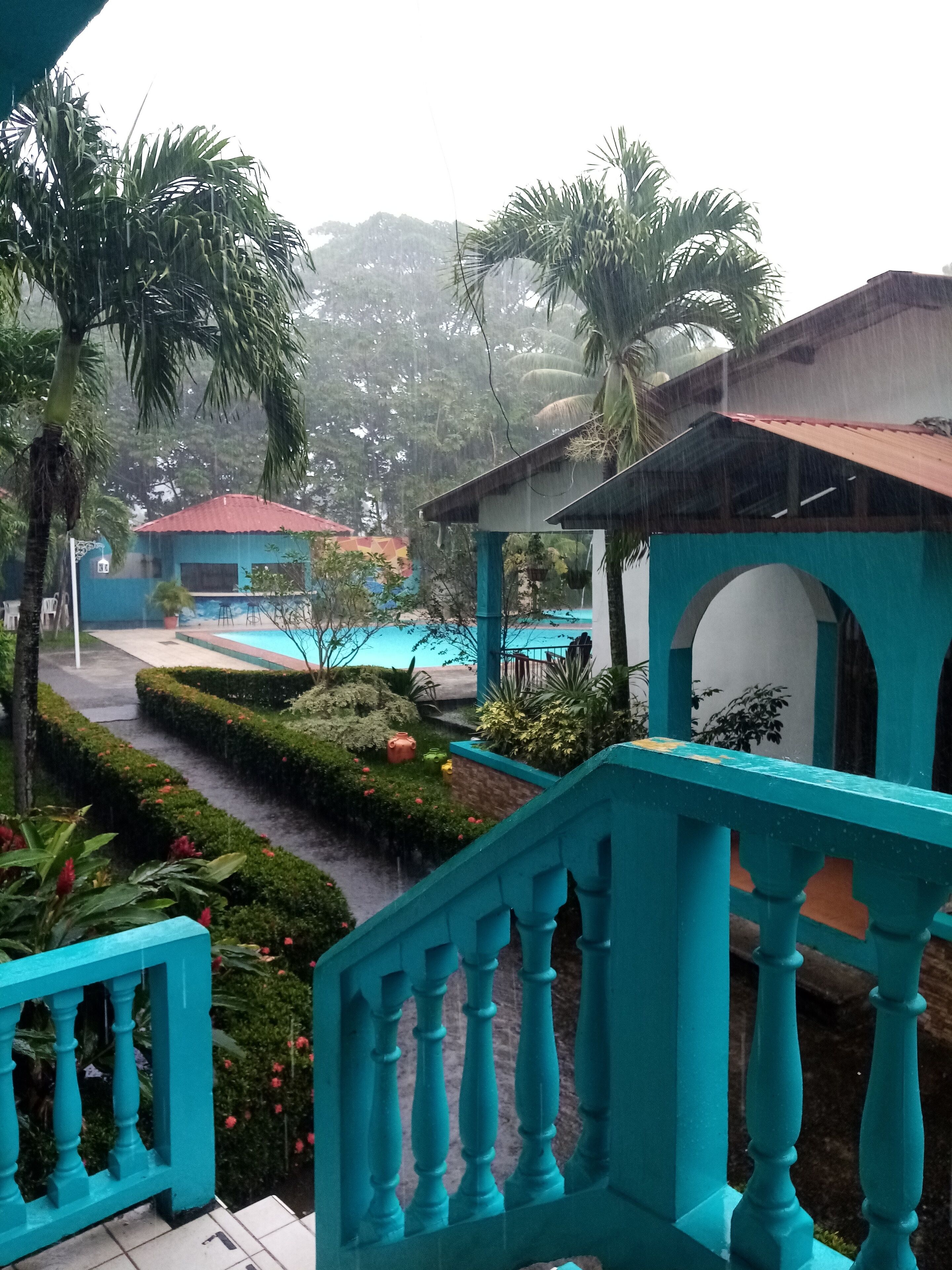Vista de una zona de piscina con barandilla turquesa, rodeada de follaje y palmeras.
