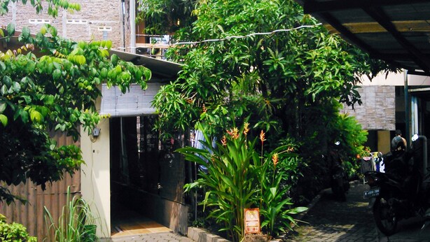 A courtyard with a paved walkway, a potted plant, and a parked motorcycle. - Kost Semarang Peterongan Timur (Semarang)