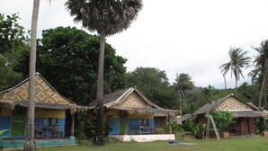 Un hilera de casas de campo con techo de paja, un patio cubierto de césped y palmeras.