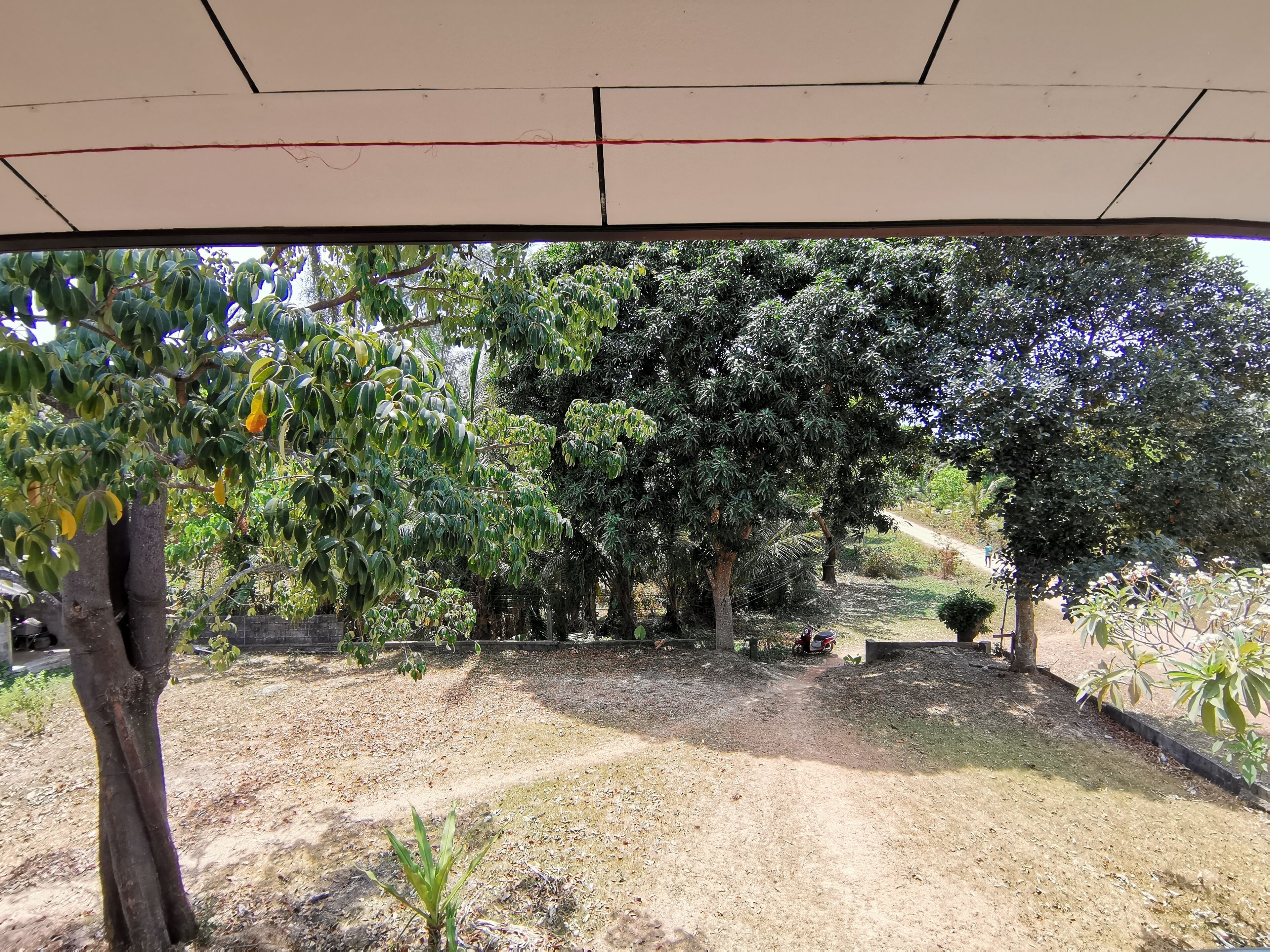 standard room (residence building) | garden view