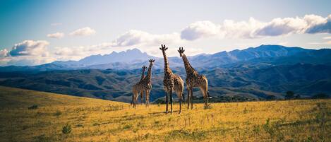 Ausstattung der Unterkunft