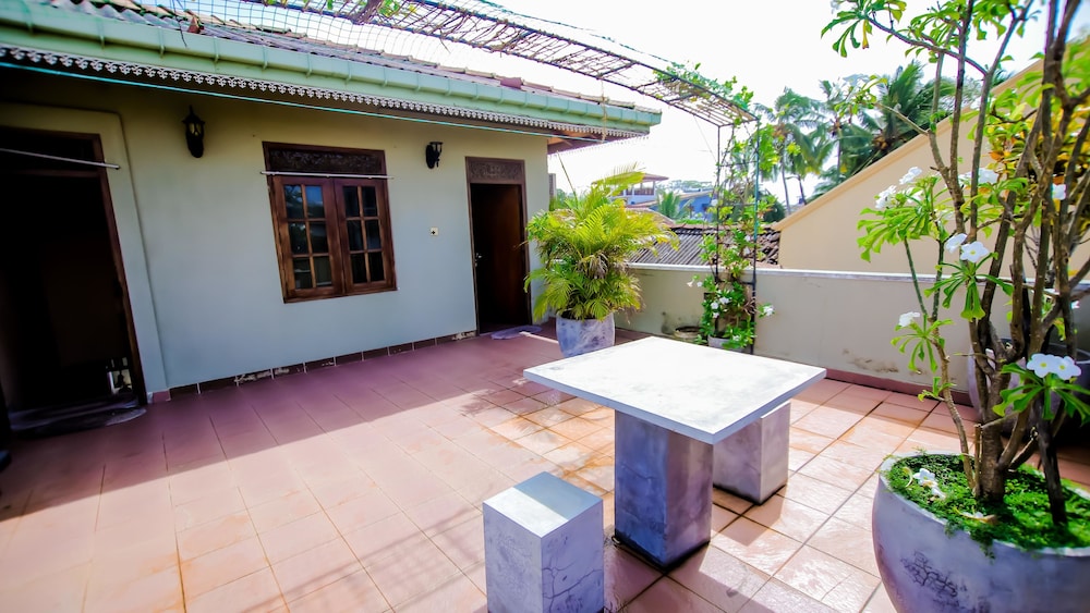 The Ivy by Frangipani by null