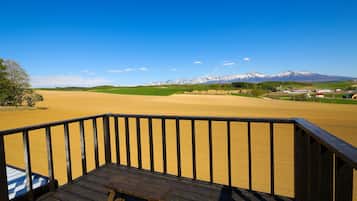 Vue depuis le balcon
