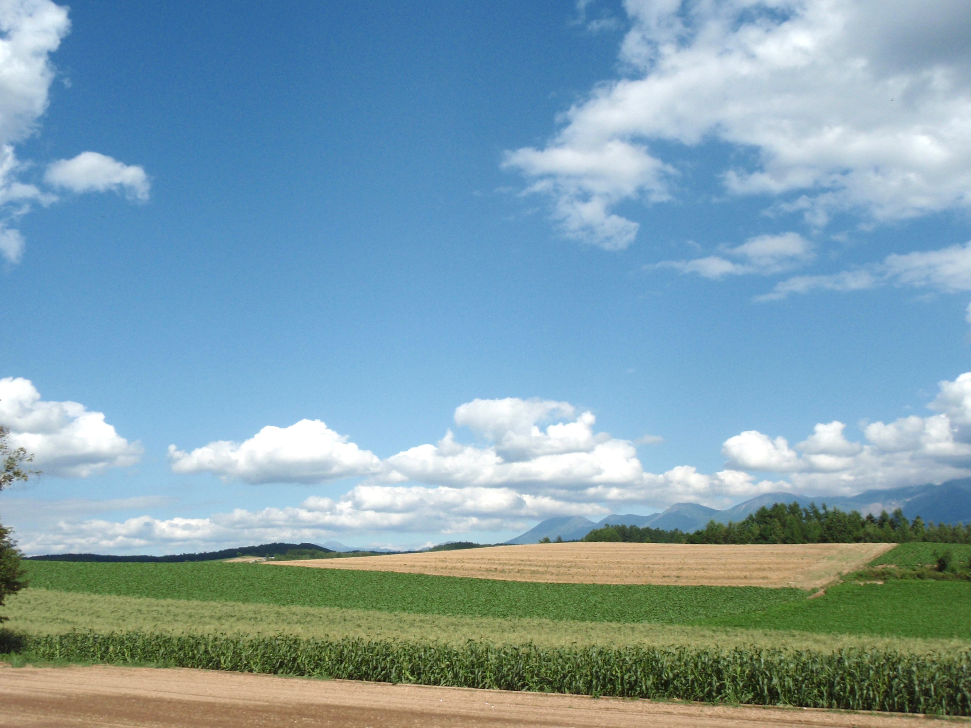 A rural landscape with fields, a dirt road, and distant mountains under a blue sky with clouds.