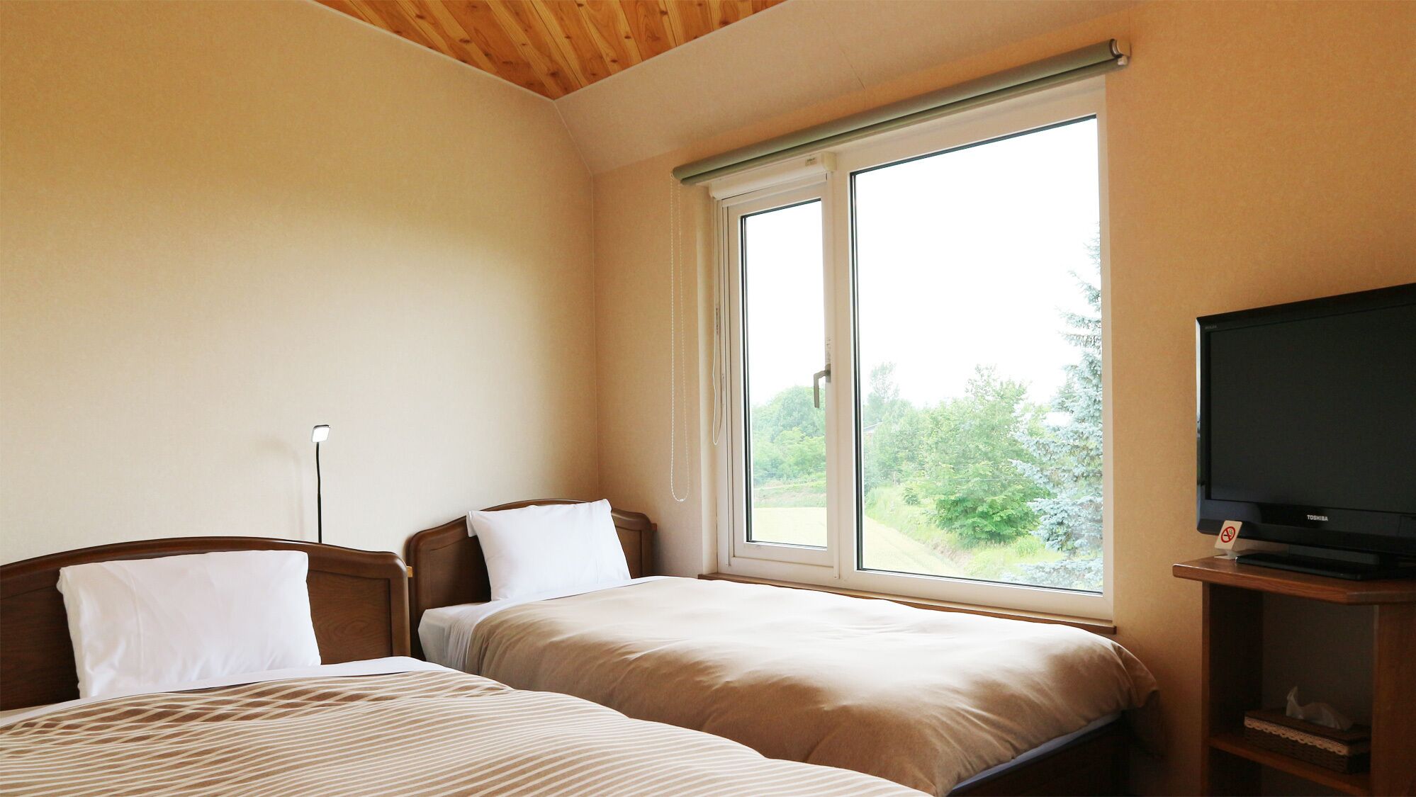 Un dormitorio con dos camas, televisión y ventana con vistas a zonas verdes.