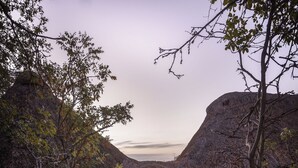 A stone staircase leading to a thatched-roof structure surrounded by trees. - Elewana Elsa’s Kopje (Meru National Park)
