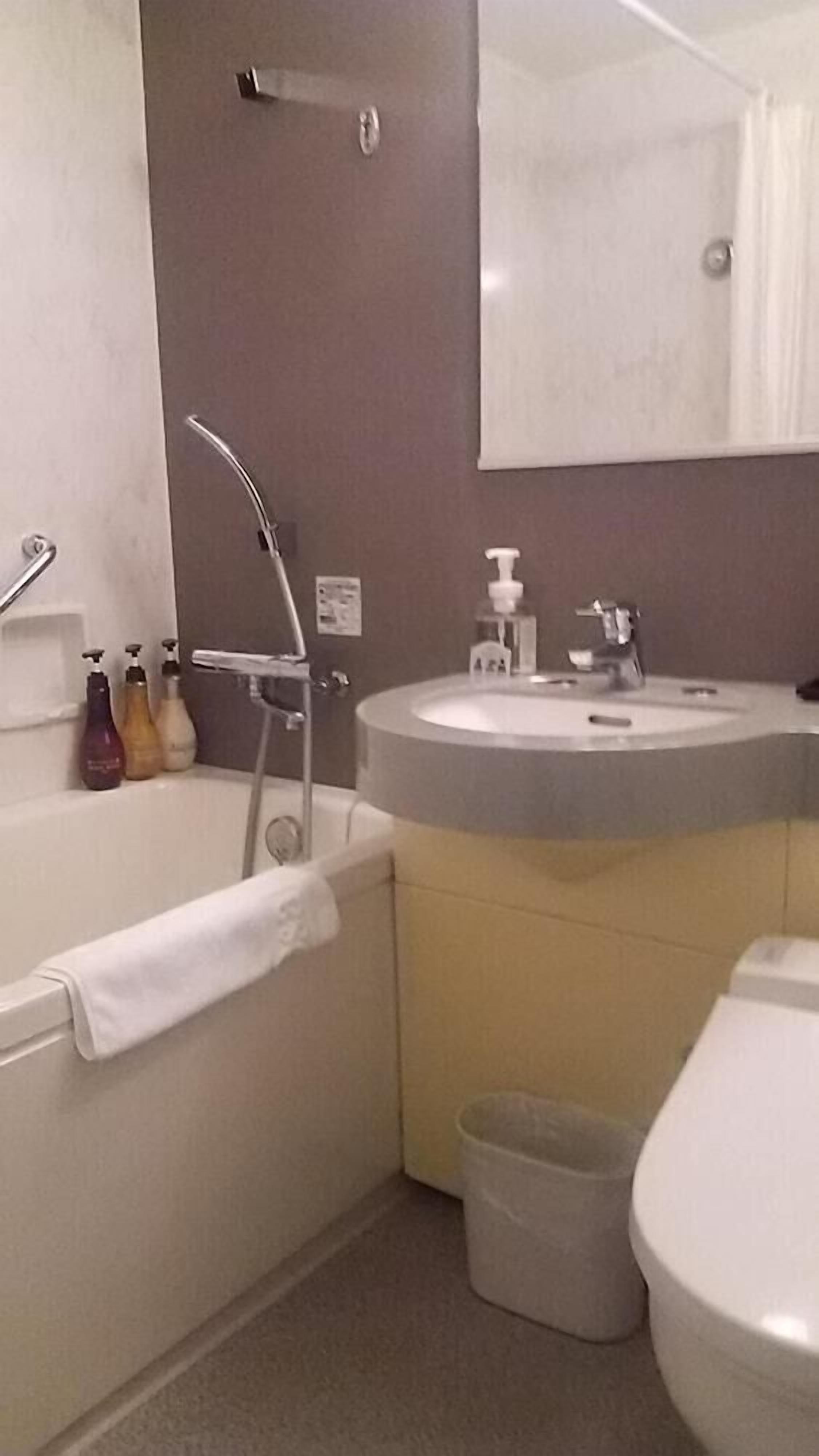 combined shower/bathtub, deep-soaking bathtub, free toiletries