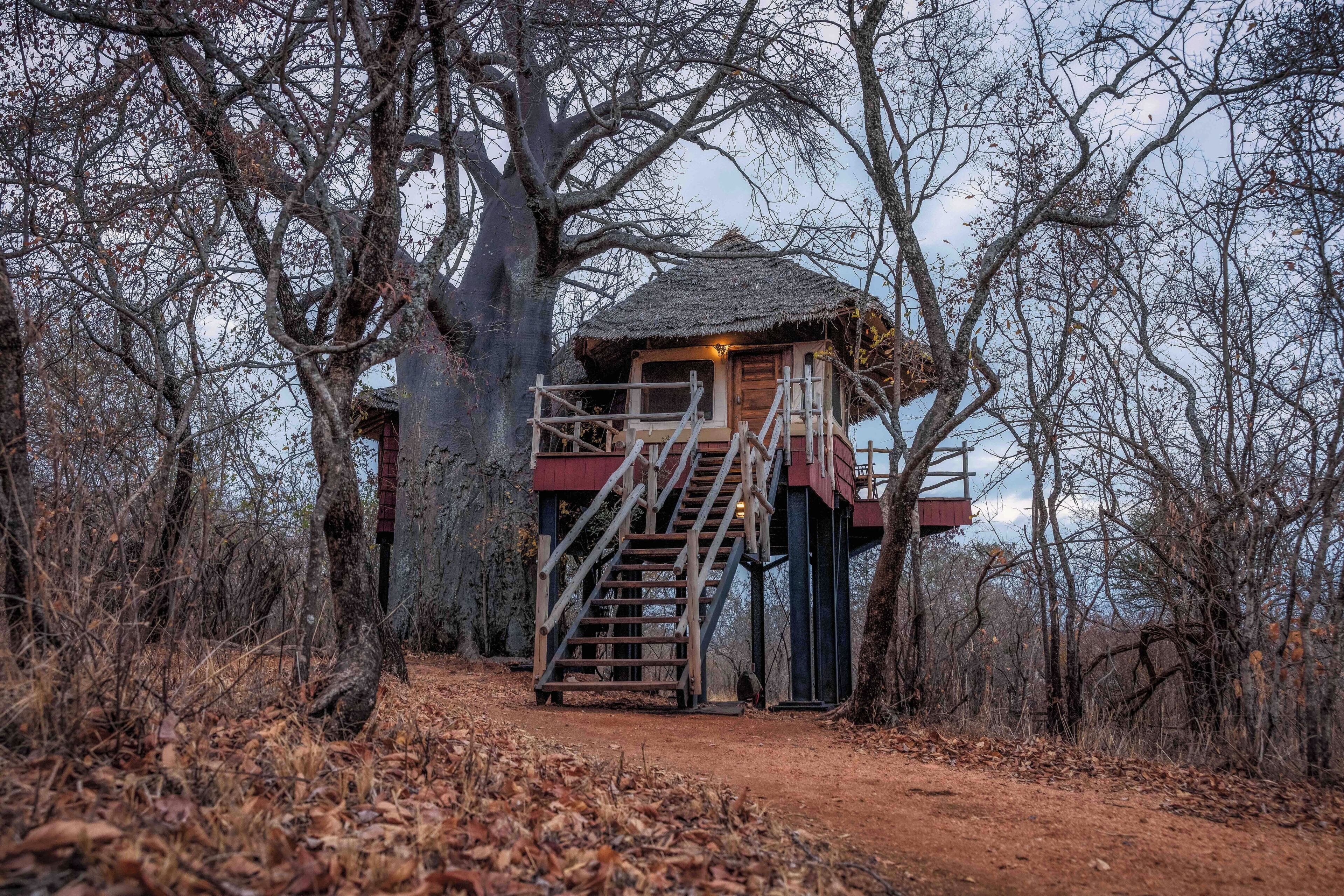Tree House