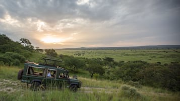 Safari