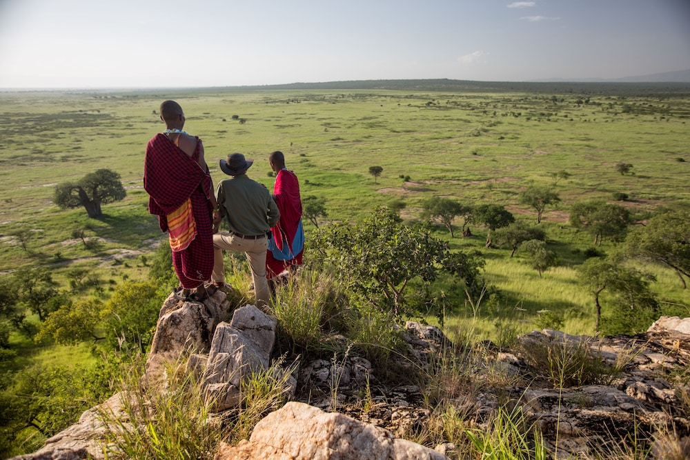 Tarangire Treetops by Elewana by null