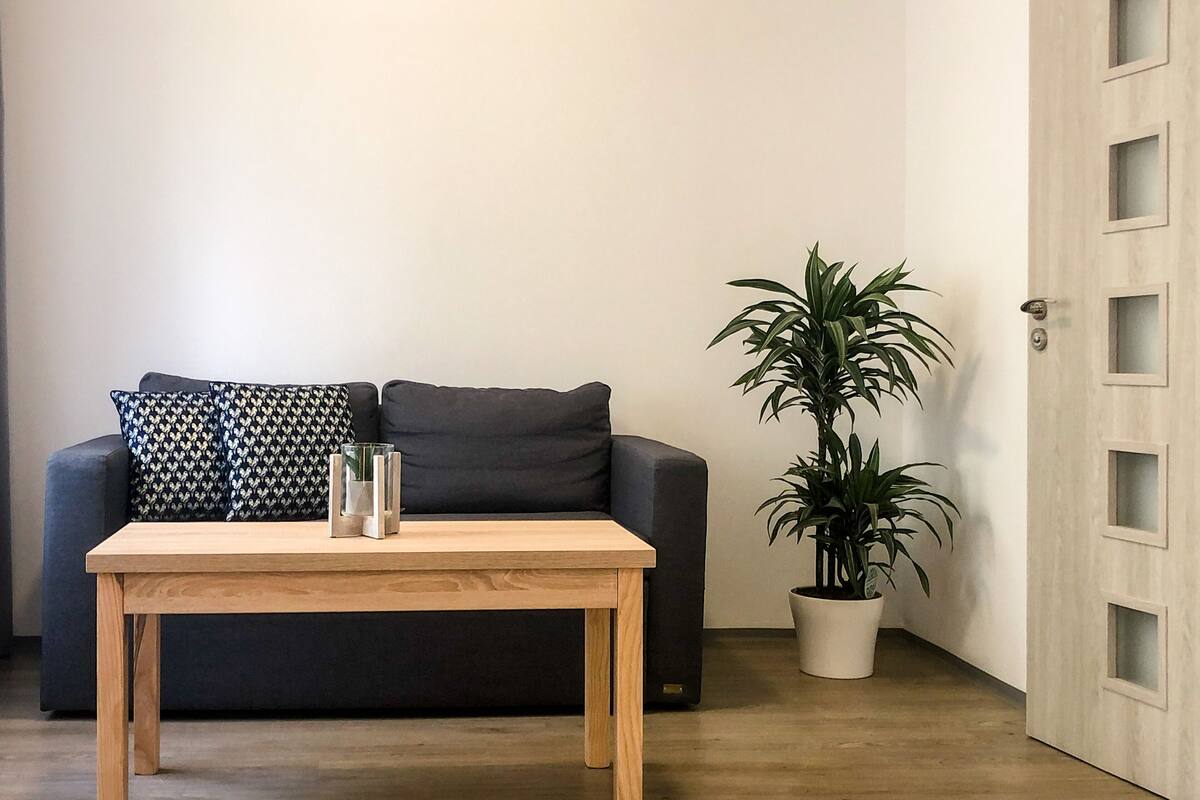 Deluxe Double Room | Living area | Flat-screen TV