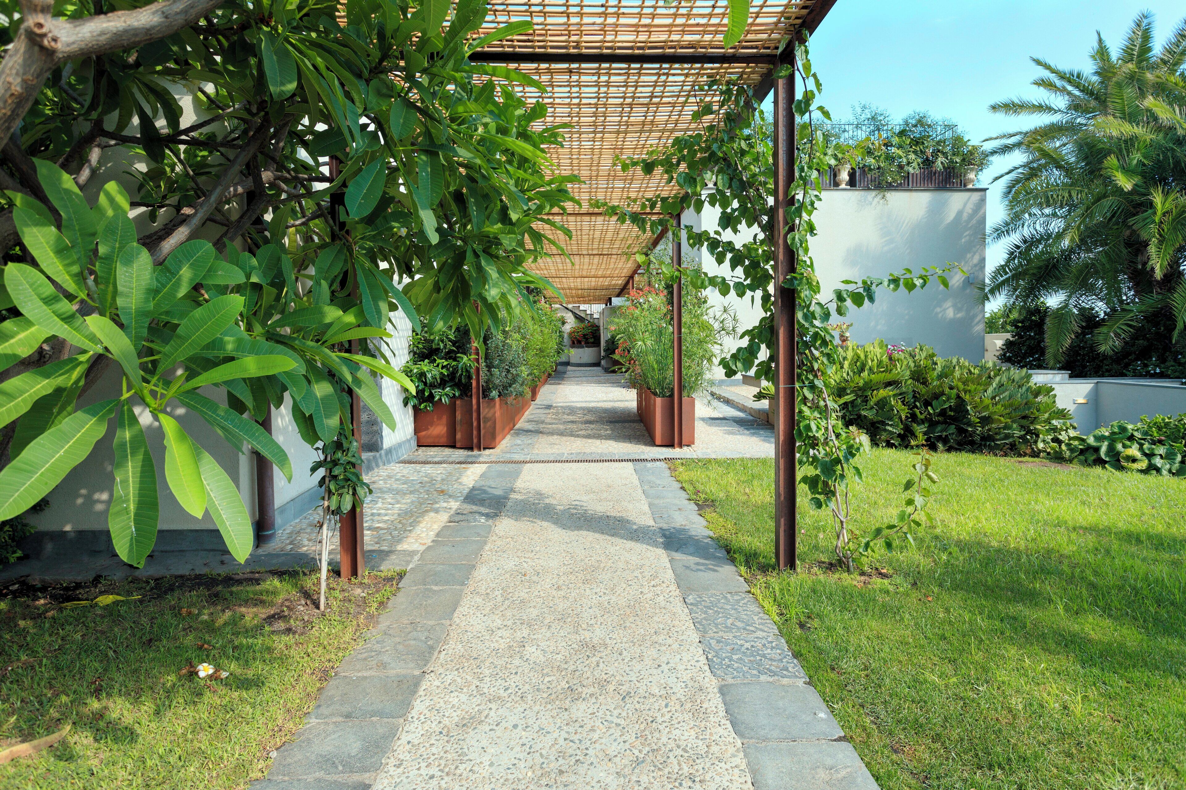 A pathway leading to a covered area with plants and a white wall in the background.