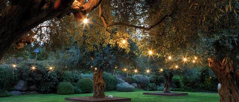 A garden with large trees and illuminated string lights.