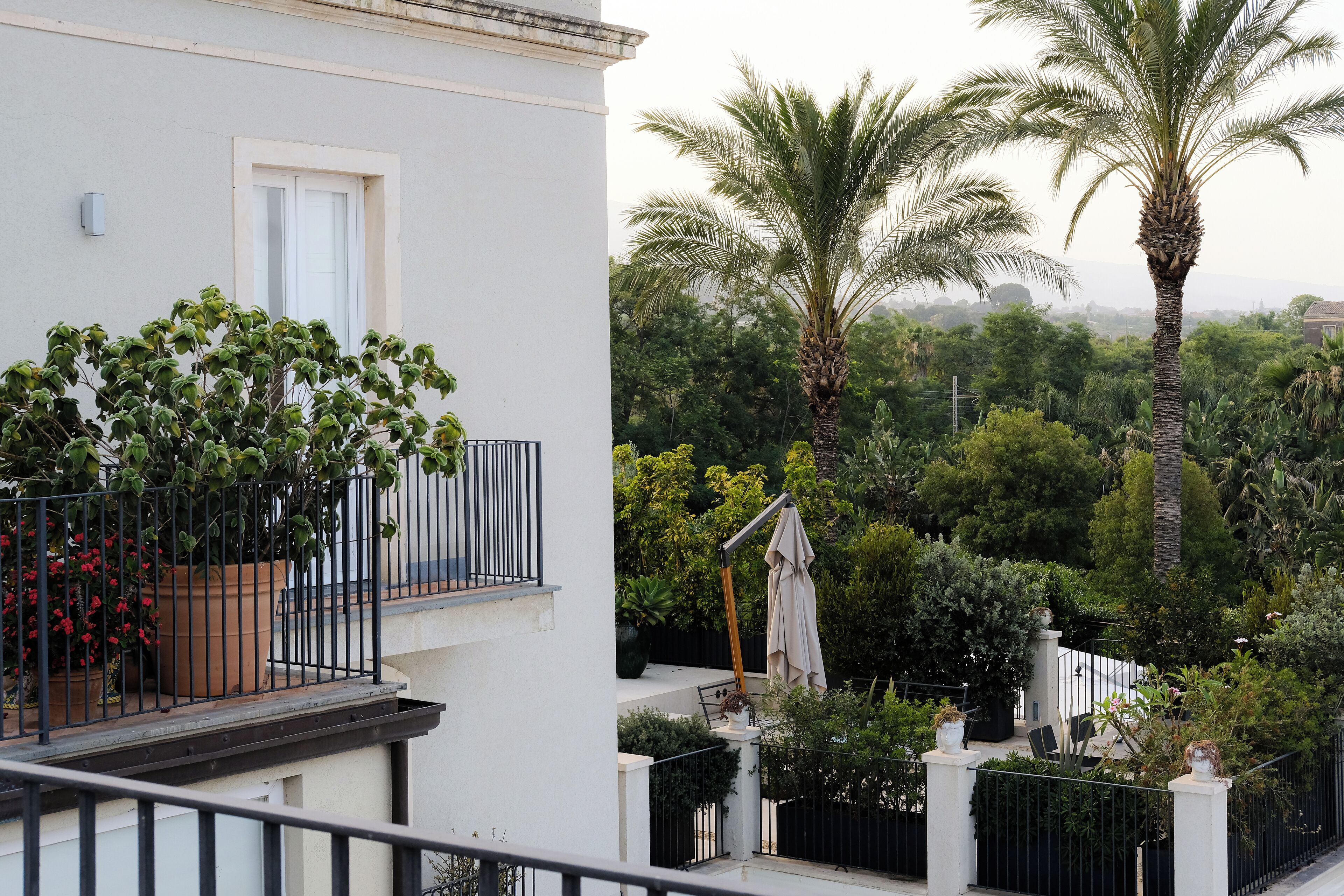 A balcony with potted plants and a view of a lush garden with palm trees.