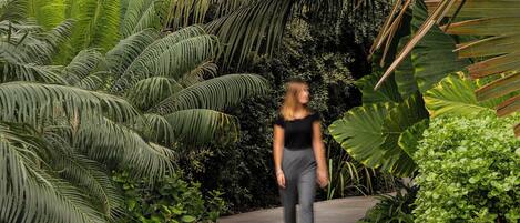 A pathway surrounded by lush greenery and large tropical plants.