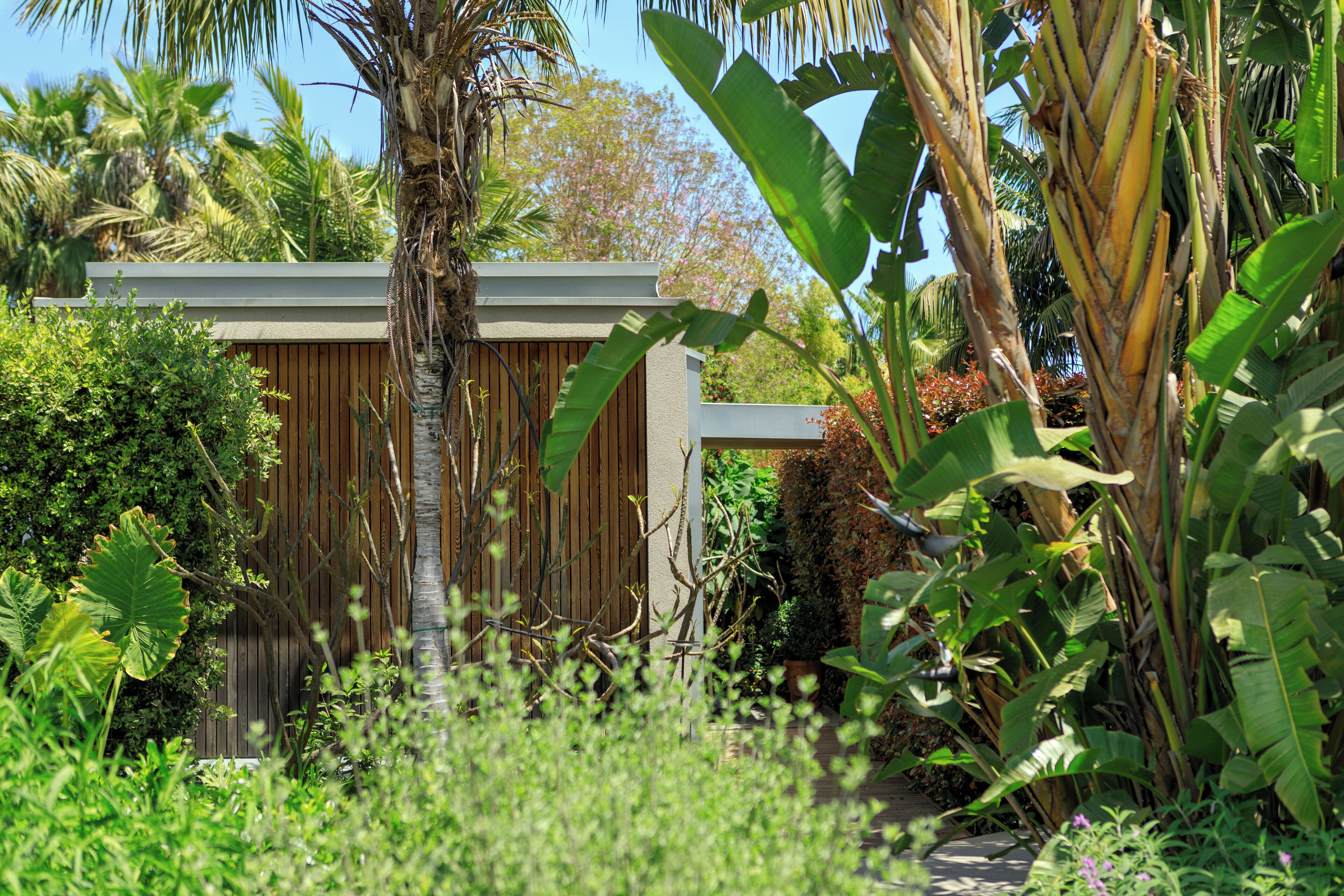 A modern building with a wooden facade, surrounded by lush tropical vegetation including banana trees and various shrubs.