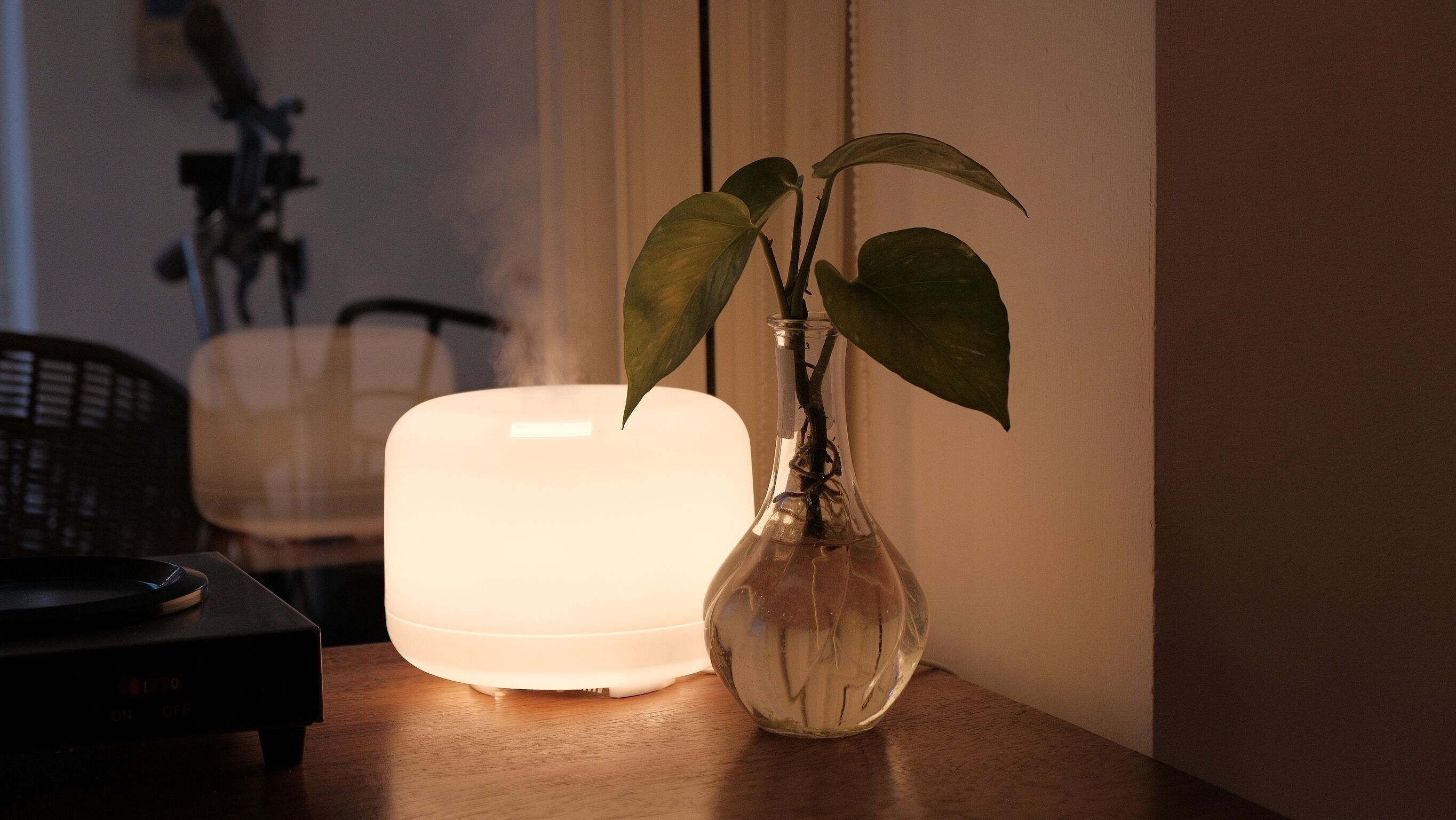 A table with a white lamp and a clear vase with a plant.