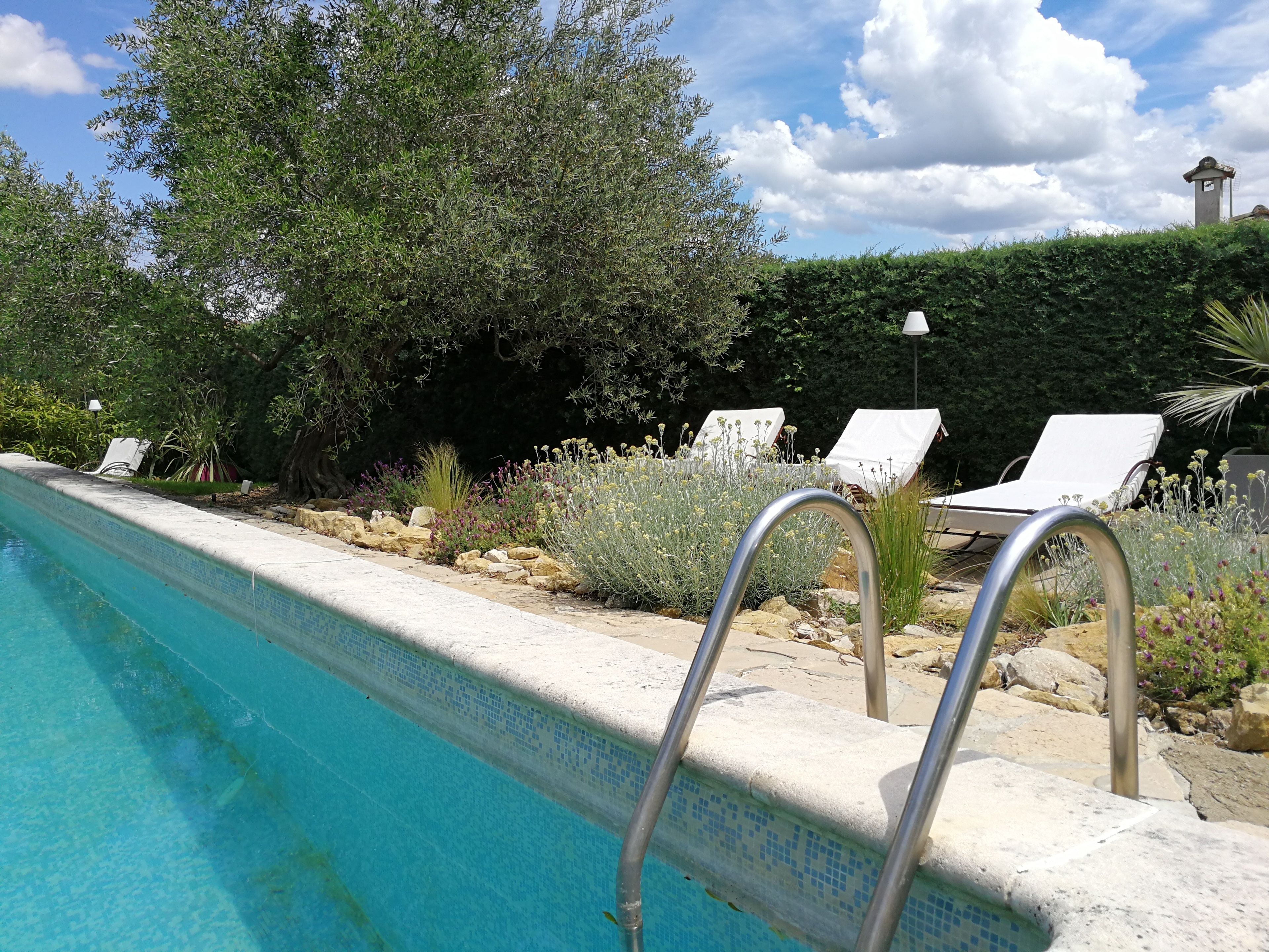 Una piscina con borde de azulejos, rodeada de sillones de descanso y plantas diversas.