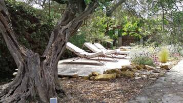 Un jardín con una terraza de madera, sillas de descanso y un árbol grande.