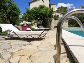 Un área de piscina de piedra con sillas de descanso y una planta en maceta.
