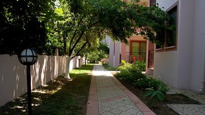 Un camí flanquejat per arbres i una tanca, que condueix a un edifici amb un balcó i una finestra amb una flor vermella.