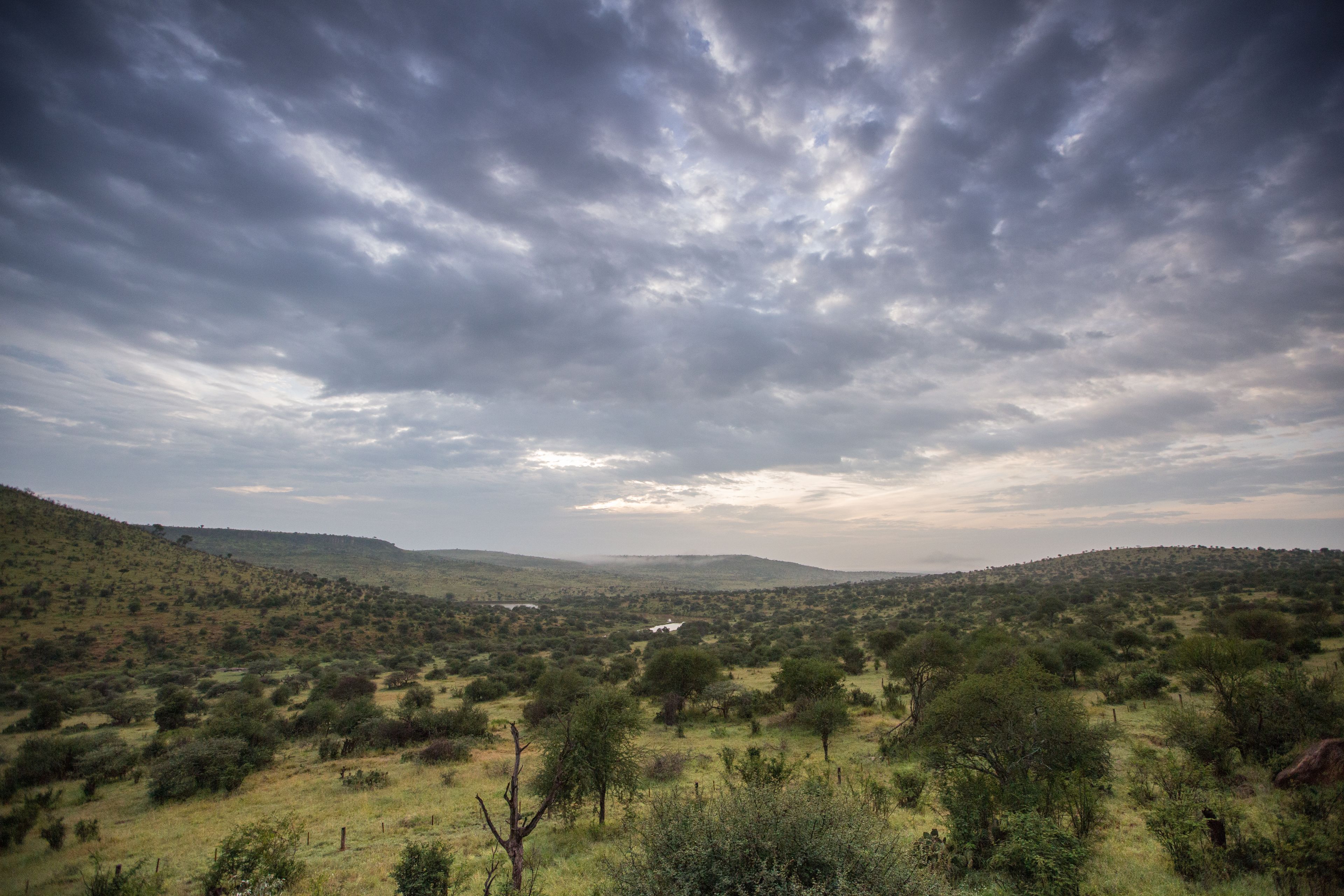 Uma extensa paisagem com colinas ondulantes e vegetação escassa sob um céu nublado.
