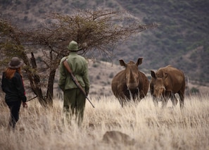 Safari