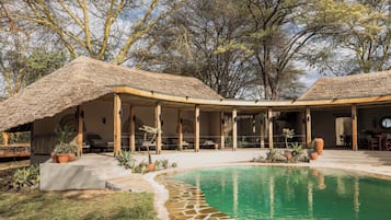 Outdoor pool, pool umbrellas, pool loungers