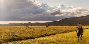 Horse riding - Elewana Lewa Safari Camp (Meru)