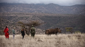 Game viewing