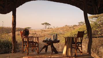 Tenda Standar | Safari