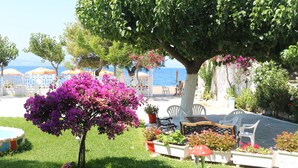 A garden with a large tree, a bench, and a table. - Pansion Akrogiali (Eretria)