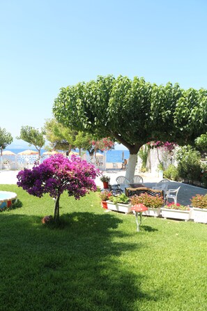 Courtyard - Pansion Akrogiali (Eretria)