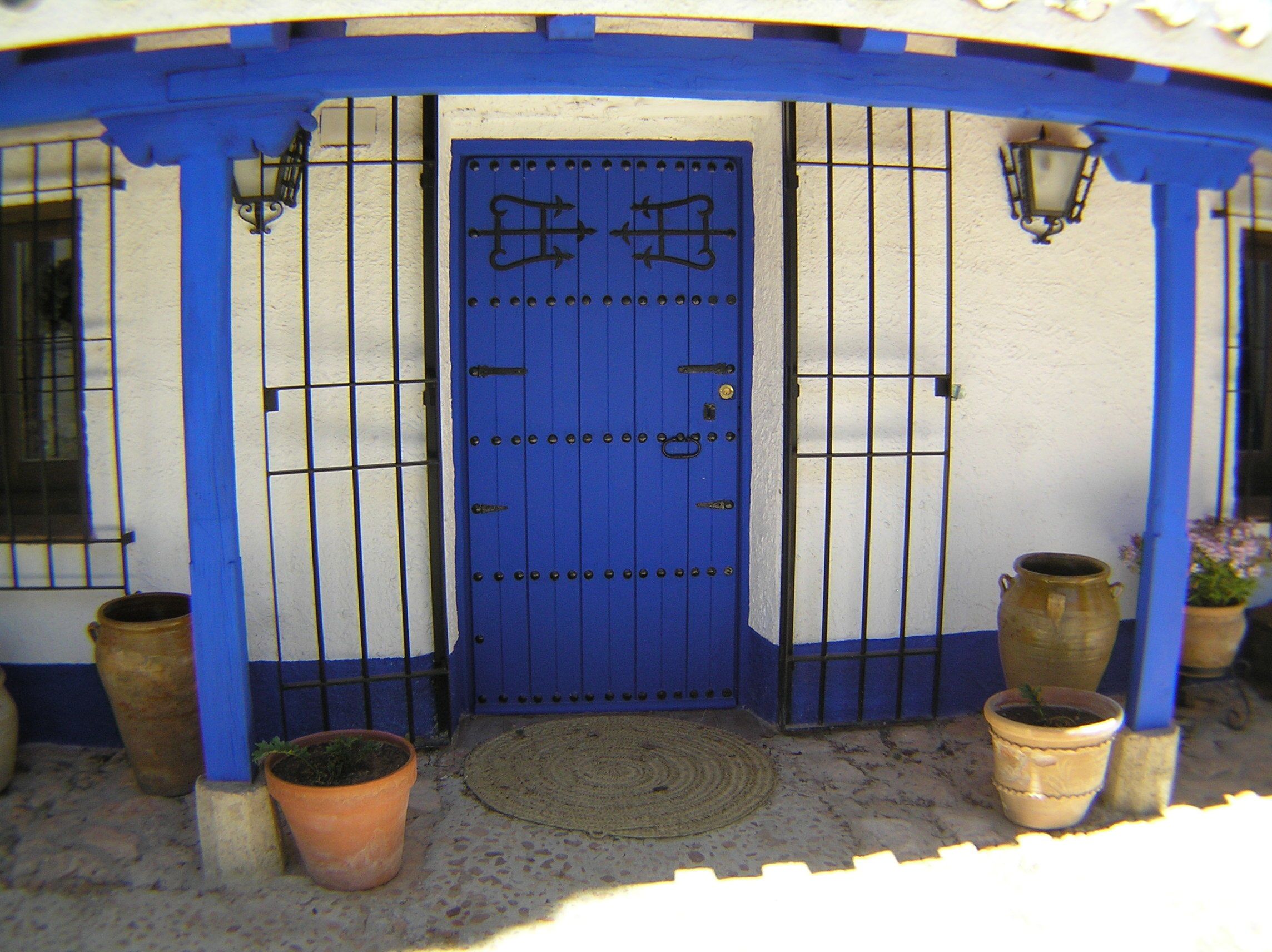 A blue door with a metal gate, potted plants, and a cobblestone floor.