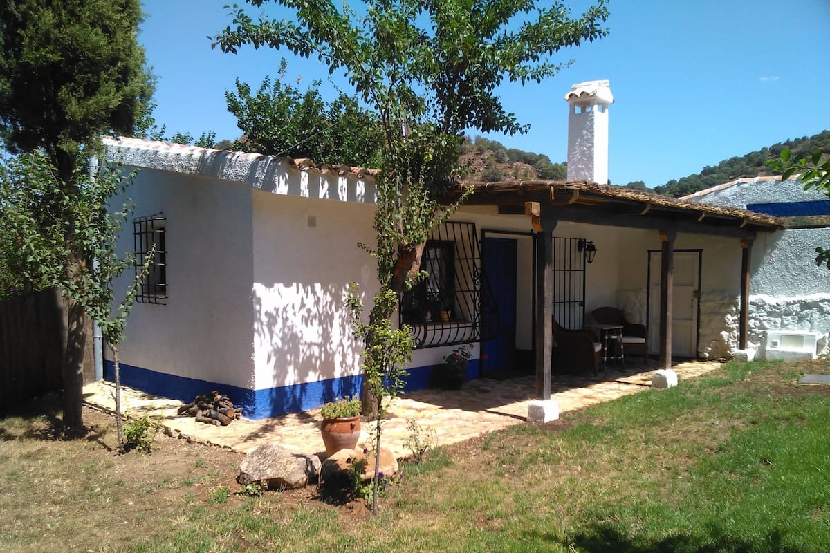 Ein kleines Haus mit blau-weißer Fassade, einem Strohdach und einem Steinkamin. Vor dem Haus ein kleiner Garten mit Baum und einer Topfpflanze.