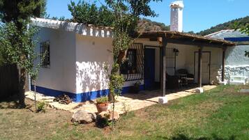A small house with a blue and white exterior, a thatched roof, and a stone chimney. There is a small garden with a tree and a potted plant.