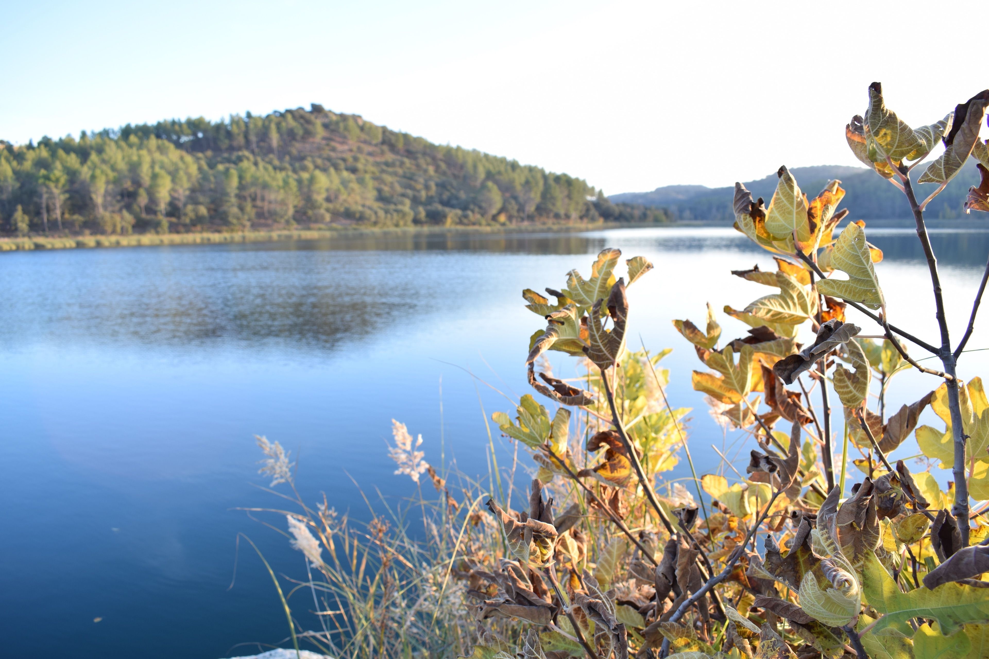 A calm lake with a forested hill in the background.