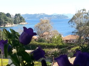 A coastal view with houses and a body of water. - Tzaneria Apartments (Skiathos)
