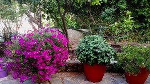A stone pathway with potted plants.