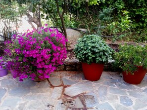 Áreas de la propiedad